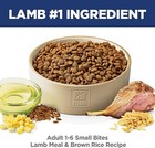 Hill s Science Diet Small Bites Lamb Meal   Brown Rice Recipe Adult Dry Dog Food