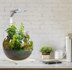 Eco-sphere Fishbowl And Led Light Kit     Use As A Fish Tank  Planter For House   