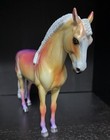 Peter Stone Dah Andalusian 2025 Glossy Infared Ombr   
