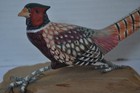 Wood Ring Necked Pheasant Figurine Angawa Art Studio
