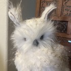 Large Horned Owl Realistic Figurine 16 Inch Woodland Decor White Standing Bird
