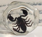 Large Black Scorpion In Resin 5  X 1 