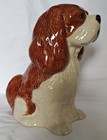 Cavalier King Charles Spaniel Hand Painted Ceramic Bank 8  Tall
