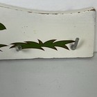 Vintage Merry Mushroom Utensil Rack Wall Mount Sears 1970 s Rare
