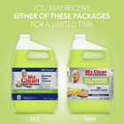 Mr  Clean Professional All Purpose Floor Cleaner  1 Gallon