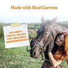 Manna Pro Tasty Delights Horse Treats  Carrot Flavor  3 Lb Jug