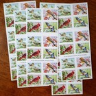       Sheet Of 20 First Class Letter  songbirds In Snow 