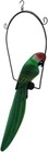 25  Wood Green Parrot Hanging Perch Carving Painting Head Art African Tropical