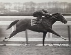 Secretariat  73 Belmont Photo Ron Turcotte Penny Chenery 8x10 Signed Beckett