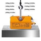 100kg-2000kg Magnetic Lifter Heavy Duty Steel Magnet Lifting Hoist Crane