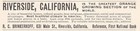1900 Riverside California Orange-growing Business Investments Full-page Print Ad