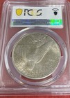 1926 Peace Dollar Pcgs Ms61