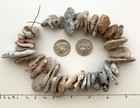 35 Adder Holey Beach Rocks Hag Stones Fairy Lucky Wish Magic Natural  1     a1 Usa