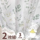 Disney Winnie The Pooh Uv Protection Lace Curtain Width 100 X 133cm Length Set O