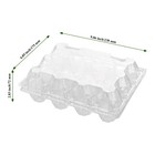 40 Pack Plastic Egg Cartons Bulk  12 Count Chicken Duck Eggs  1 Dozen Jumbo C   