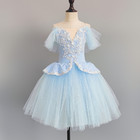 Green Long Romantic Ballet Professional Leotard Costume Ballet Dress Tutu Skirts
