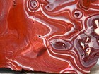 Red Canyon Jasper - Mexico 4 75 x4 25  222g Lapidary Rough Slab Cabbing 1