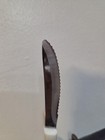 6 Cutco 1759 Jd Table Knife Pearl White Handle Serrated Steak Knife Made In Usa