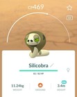 Xxl Silicobra Trade      - Pok  mon Go