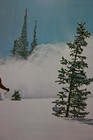 Vintage Original Poster 1968 Alta  815 Ski Skiing Utah Looart