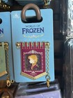 Hkdl Hong Kong Disney Pin World Of Frozen Flag Anna Pin Badge 1st Anniversary