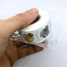 Eeveelution Sticker Roll  500pcs  Pokemon Easy-peel Cute Five-hundred Decals