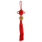 Feng Shui Fortune Coin Tassel Red Hanging Cure New Wealth Good Luck Prosperity