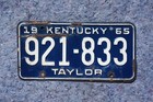 1965 Taylor County Kentucky License Plate