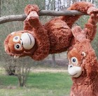 Ikea Djungelskog Orangutan Soft Toy - Brown  104 028 41 