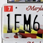 Maryland License Plate Pair     free         1fm6785   Md State Flag Matching Tag Set