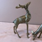 Vintage Mcm Pair Brass Deer Stag 7  Doe 4 5  Textured Figures Figurines Used