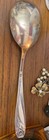 1847 Rogers Bros Daffodil Large Casserole Serving Spoon Is Silverplate 1950