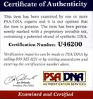 Tony Hawk Authentic Signed 10x15 Photo W  Psa Certificate Autographed 2616p11