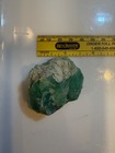 Beautiful    High Grade Australian Chrysoprase Rough  1  Piece  55 G  Old Stock