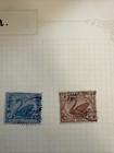 Western Australia Stamps Lot Of 9 Stamps Early 1900   s