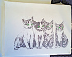 Kitten Cat Lineup 2 Piece Set-notepad  6 Blank Notecards   Linen Envs New