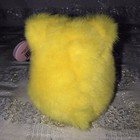 Plush 1998 Buttercup The Yellow Bear Puffkins Collection Swibco Nos