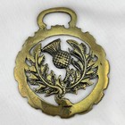 Brass Horse Medallion Antique English Scottish Thistle Flower Parade Harness