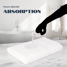 Towels Luxury Bath Sheet Towels Extra Large 35x70 Inch 2 Pack   Highly Absorbent