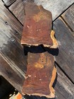 Beers Mountains Jasper Rough Slabs For Cabbing Lapidary And Display