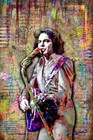 Neil Diamond 24x36in Tribute Poster Neil Diamond Print Free Shipping Us