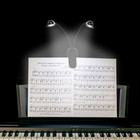 Music Stand Light  1 2 4 10 Pack Clip On Led Book Lights  Usb And Aaa Battery Op