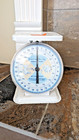 Vintage American Family Nursery Scale