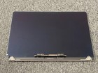 Oem Genuine Apple Macbook Pro 16  A2141 2019 2020 Lcd Display Assembly Gray