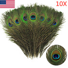 10x Peacock Tail Feathers Natural 24 26cm Inches Long For Bouqet Millinery Craft