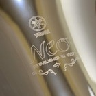 Yamaha Yep-642s Bb f Neo Series Euphonium Silver Plated