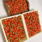 10pcs Tiny Mini Food Strawberry 1 12 Scale Dollhouse Store Fruit Miniatures Lot