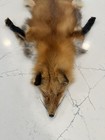 Wild Red Fox Pelt Fur Hide Tanned  Log Cabin Decor Man Cave Art