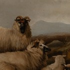 19th Century Large Oil On Canvas Of Scottish Highland Sheep And Shepherd