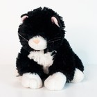 Ty Classic Lexie Tuxedo Cat Black White 2005 Blue Eyes No Ear Tag No Ribbon